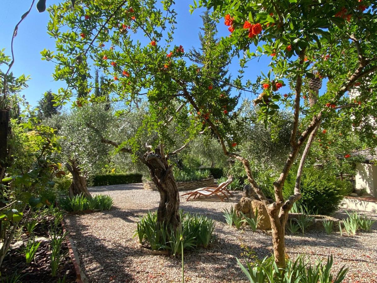 Beautiful Country House Near Ronda Arriate Exterior photo